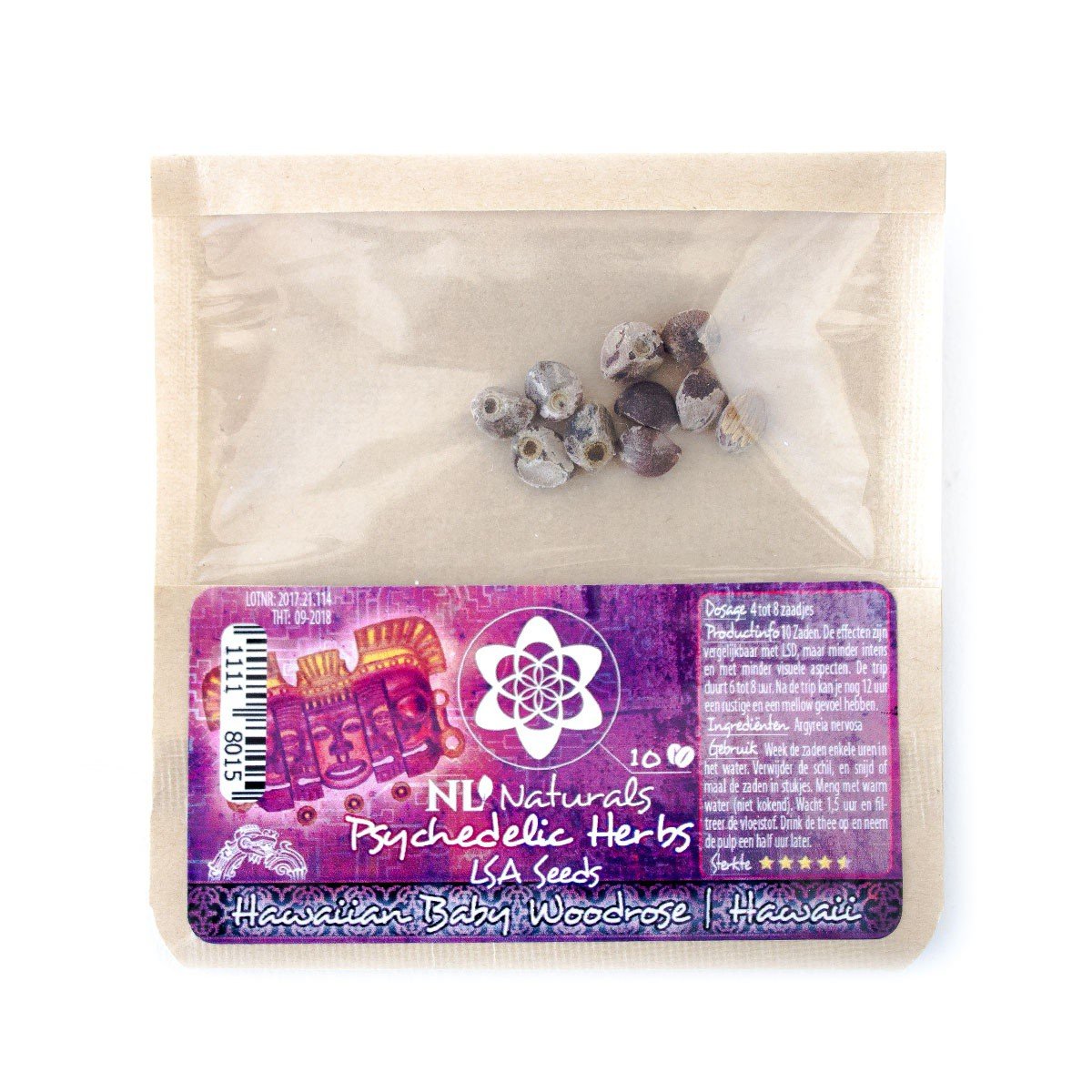 Baby Woodrose – Hawaii - Image 2